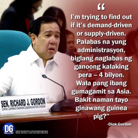 dengue gordon guinea pig